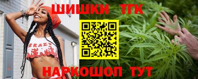 тгк Новозыбков