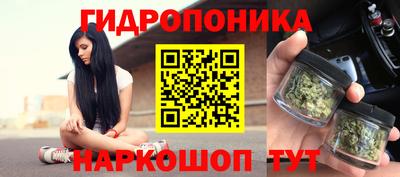 spice Обь