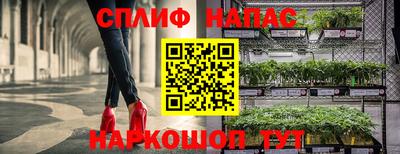 амф Обнинск