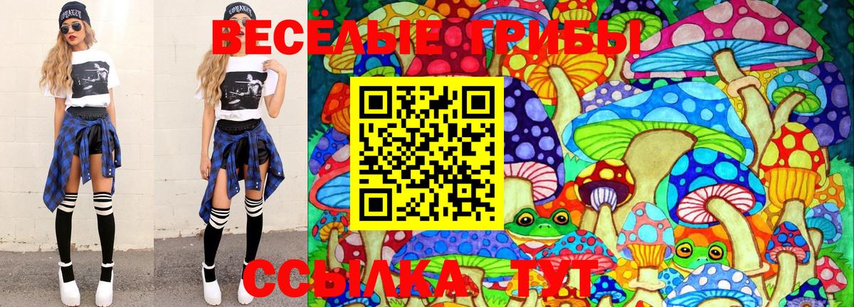 Галлюциногенные грибы Psilocybe Серов