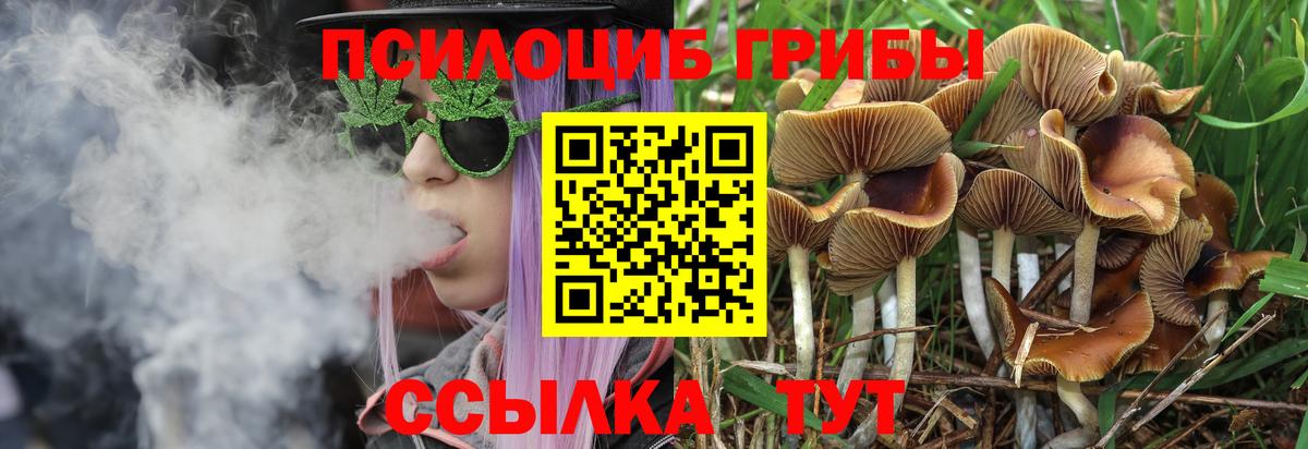 где продают   Псилоцибиновые грибы мухоморы  Вход с VPN  Серов  Галлюциногенные грибы Magic Shrooms 